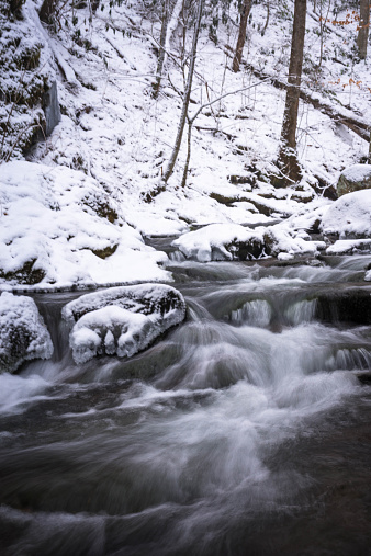 A snow-covered creek deep in the Great Smoky Mountains National Park. 