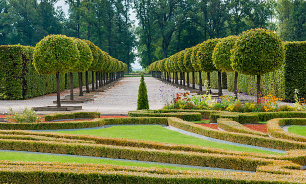 istock Rundale governmental florist park, Latvia, Europe 468359907
