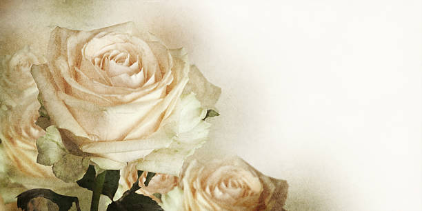 istock Beautiful bouquet of rose. 468361709