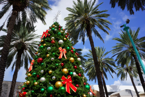 Christmas tree among palm trees on Lincoln Road Mall, Miami Beach.