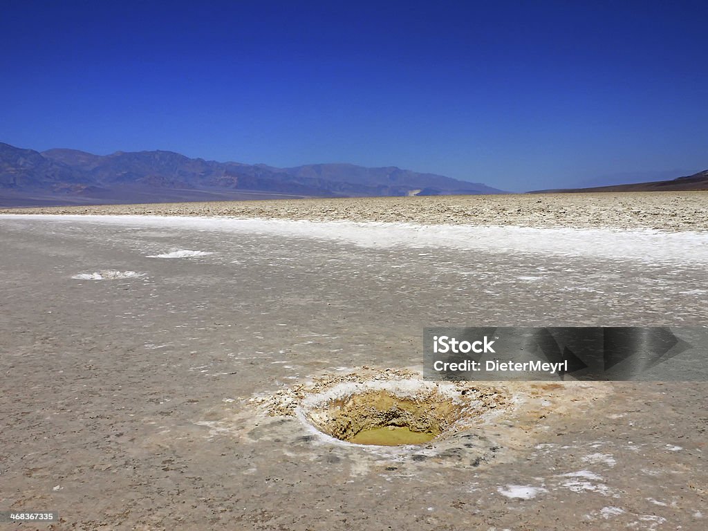 Badwater Basin-Nationalpark Death Valley - Lizenzfrei Abgestorbene Pflanze Stock-Foto