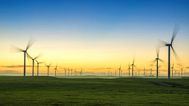 Nascer do sol com turbinas eólicas e relva verde - fotografia de stock