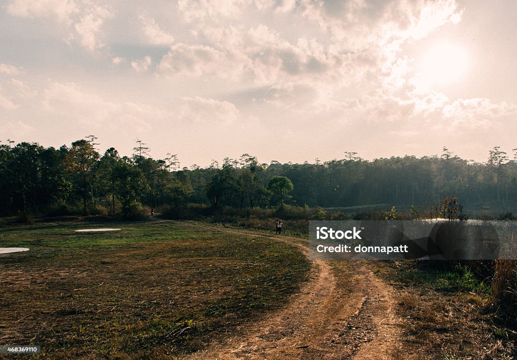 Leading into the wood Street is as a leading line into the wood . Ashton - Idaho Stock Photo