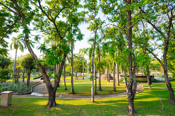 istock Green city park in evening 468369216