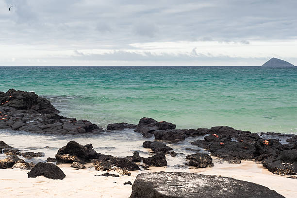 One of the many and beautiful beaches of the Galapagos Islands