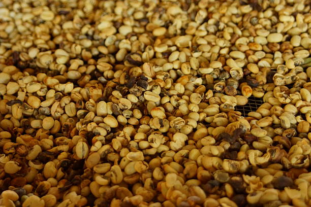 coffeebeans - koffie imagens e fotografias de stock