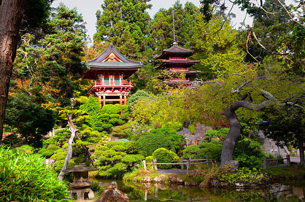 japoński ogród herbaciany - golden gate park zdjęcia i obrazy z banku zdjęć