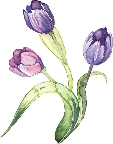 Vector illustration of The spring flowers watercolor isolated