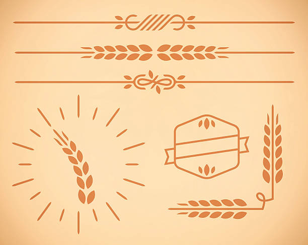 ilustraciones, imágenes clip art, dibujos animados e iconos de stock de país de trigo frontera y elementos de diseño natural - whole wheat