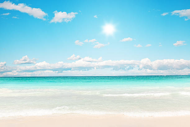 istock Stunning tropical beach against sunlight 468386788