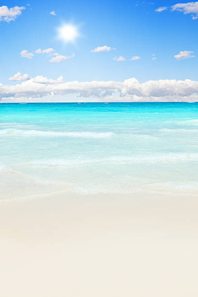 istock Stunning tropical beach against sunlight 468387040