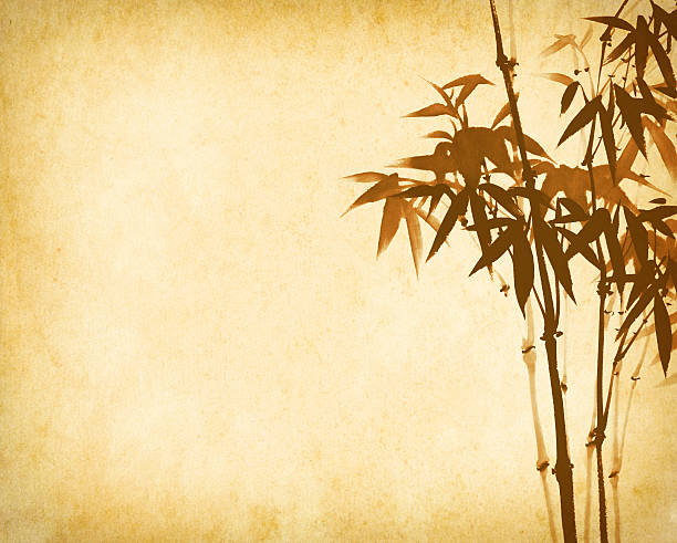 istock bamboo on old grunge paper texture background 468389434