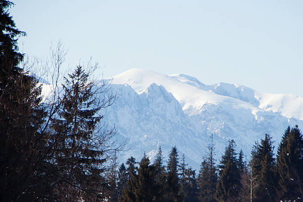 istock Sunny Panorama of Mountains with Forests in Winter 468392108