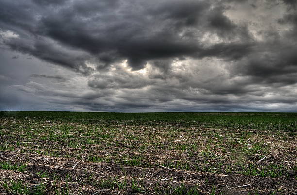 istock hay field in prairies 468392485