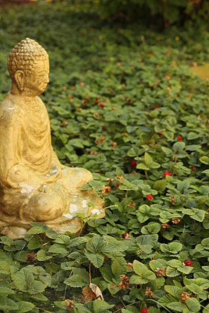 istock Buddha statue in a garden 468392770