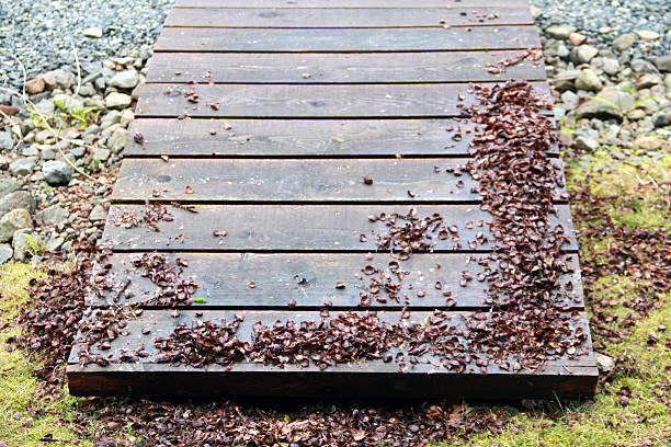 A big pile of spent fir cones are found on a small bridge in the forest.