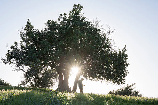 istock Young man stands below olive tree in grassy meadow 468394542
