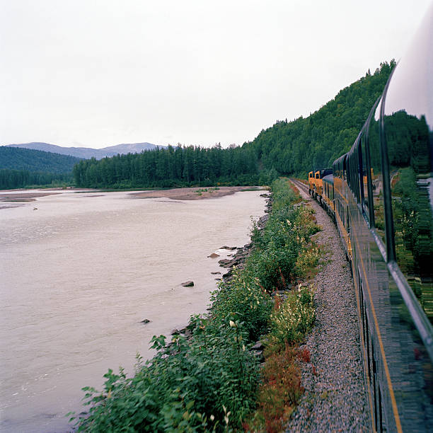 istock Alaska Railroad Denali Trainride View 468394799