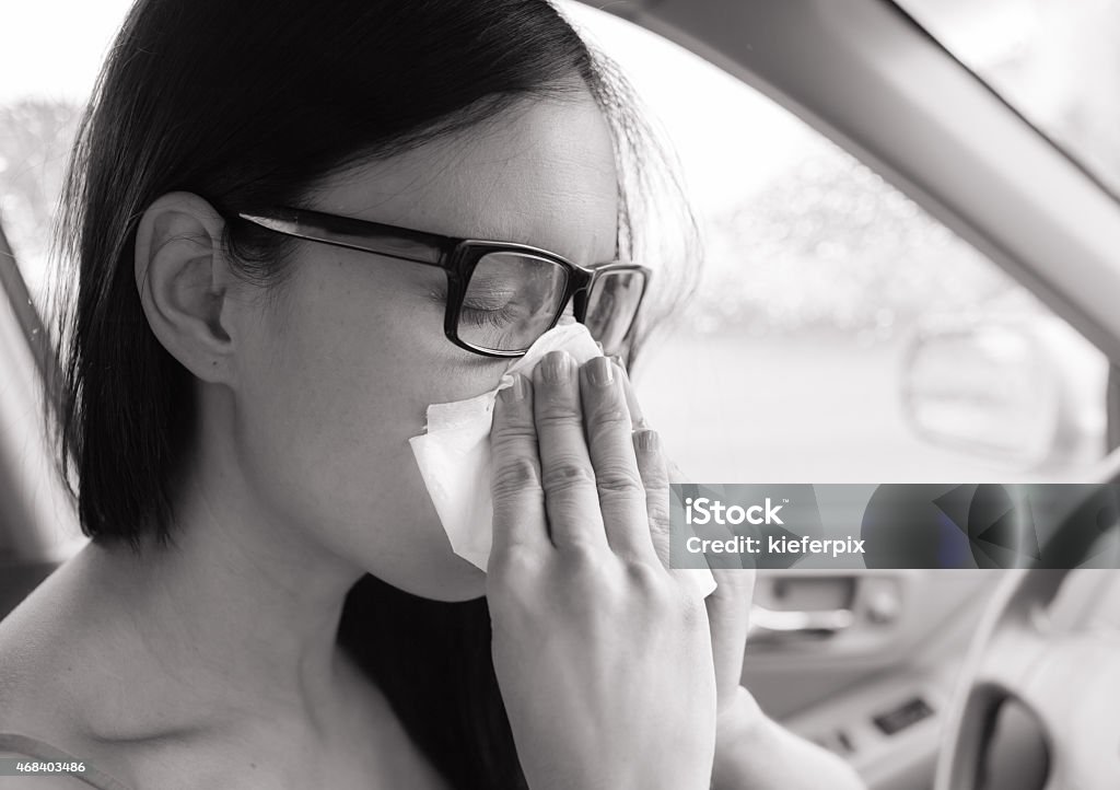 Feeling sick Woman driver sneezing in the car. Sick woman driver. 2015 Stock Photo