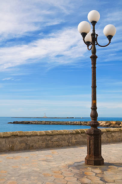 istock Panoramic view of Gallipoli. Puglia. Italy. 468403518