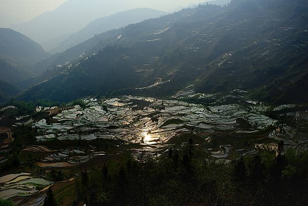 pôr do sol em campos com terraço 01 - agriculture artificial yunnan province china imagens e fotografias de stock