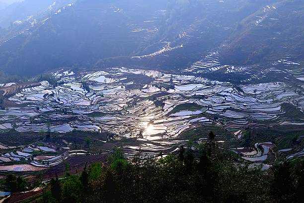 pôr do sol em campos com terraço 02 - agriculture artificial yunnan province china imagens e fotografias de stock