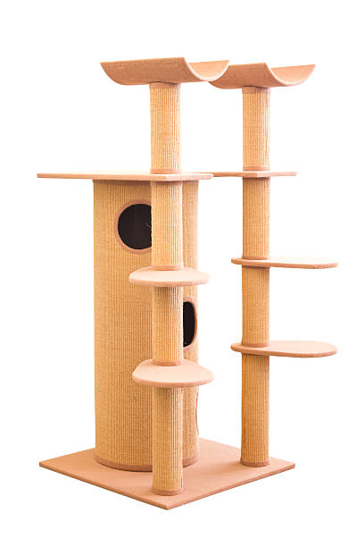 istock Huge cat house isolated on white. 468404181