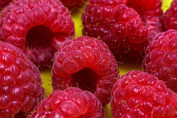 Delicious Raspberries