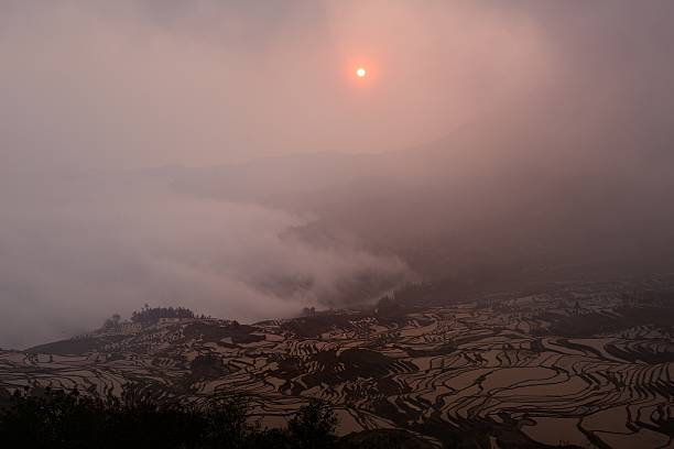 terrasse champs du matin 2 - agriculture artificial yunnan province china photos et images de collection