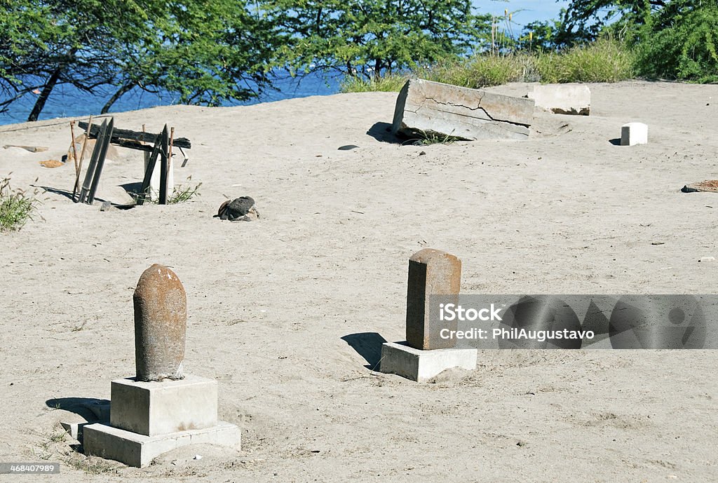 Cimetière du Japon à sand dune récupération projet à Maui - Photo de Arbre libre de droits