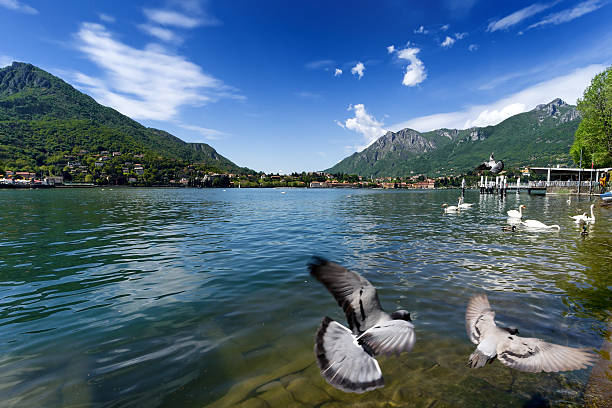 istock Como lake from Lecco, Italy. 468408083