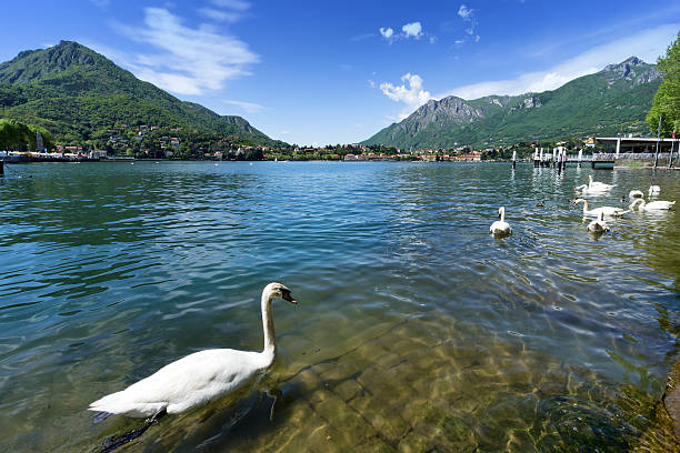 istock Como lake from Lecco, Italy. 468408229