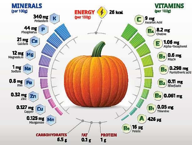 vitamine und mineralien des kürbis - vitamin c vitamin a vitamin e vegetable stock-grafiken, -clipart, -cartoons und -symbole