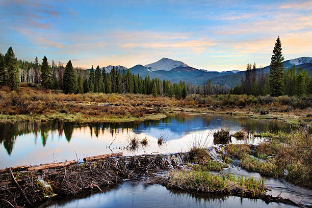 Perfect View Somewhere in Colorado :) beaver dam stock pictures, royalty-free photos & images