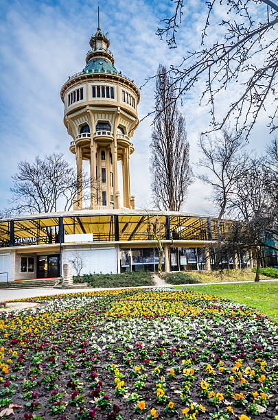 Budapest Water Tower Water Tower on Margaret Island (Margitsziget) in Budapest. margitsziget stock pictures, royalty-free photos & images