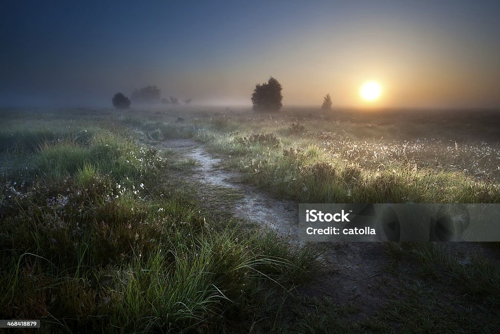 misty sunrise over countryside path misty sunrise over countryside path through swamps, Fochteloerveen, Drenthe, Netherlands Blue Stock Photo