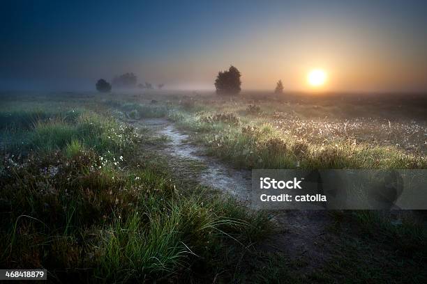 Misty Sunrise Over Countryside Path Stock Photo - Download Image Now - Blue, Bog, Bush