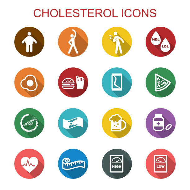 ilustraciones, imágenes clip art, dibujos animados e iconos de stock de colesterol long shadow iconos - lipoprotein