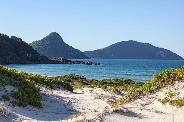 dune di sabbia dell'oceano isole e colline.  fingal'bay.  australia. - port stephens new south wales australia coastline foto e immagini stock