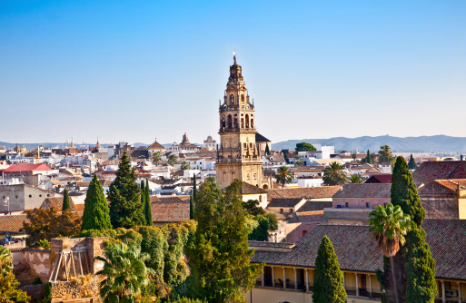 Panoramic view from Alcazar on Cordoba's roofs, Andalusia, Spain.