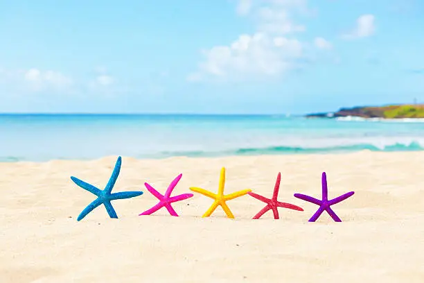 A group of fiends vacationing or spring break on an idyllic beach in tropical paradise. A row of playful and colorful starfishes dancing and relaxing on a sandy beach having a fun time. Photographed in horizontal format with copy space available. Photograph taken on the island of Kauai, Hawaii, USA.