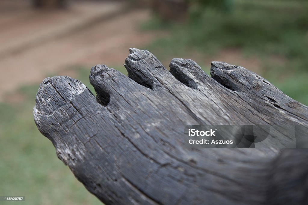 Pie de madera - Foto de stock de Aire libre libre de derechos