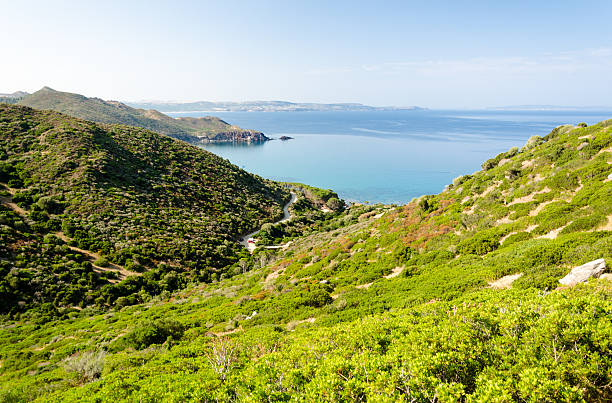istock Sardinia, Sulcis coast 468421093