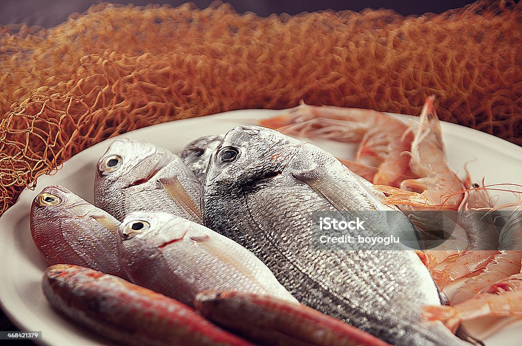 Fishes - Foto de stock de Camarón - Marisco libre de derechos