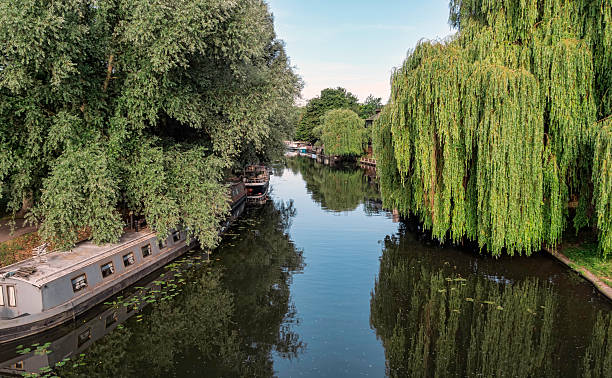 istock Narrow boat barge under the green trees in Cambridge 468422065