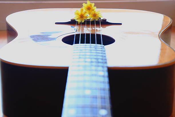 istock Flower in guitar 468423163