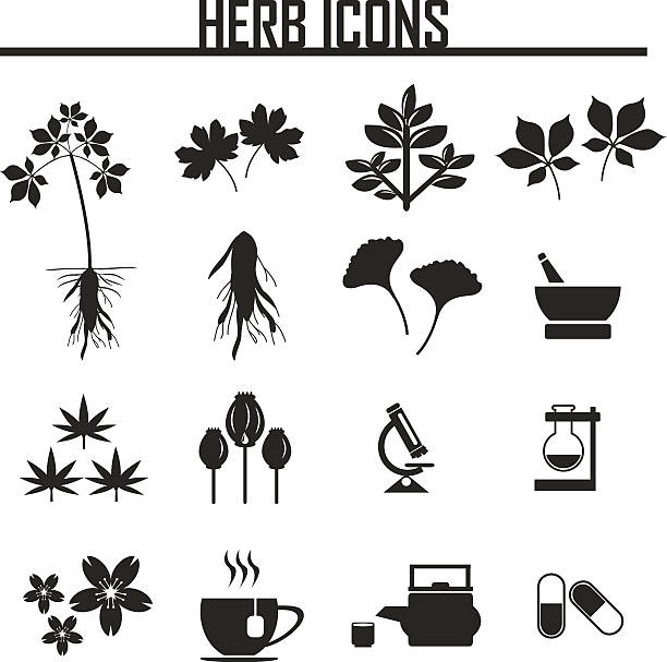 herb icons. ilustracja wektorowa eps 10 - spice ayurveda herb mortar and pestle stock illustrations