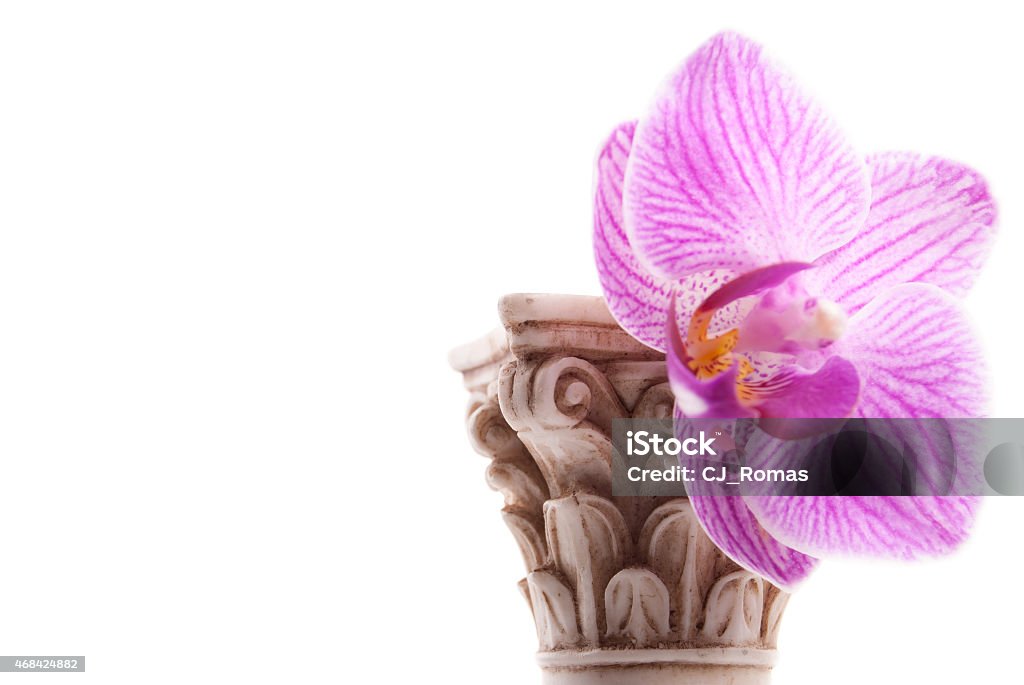 Classical column with flower Classical column with flower isolated on white background, conceptual metaphor for love, stable relationship, and affection. 2015 Stock Photo