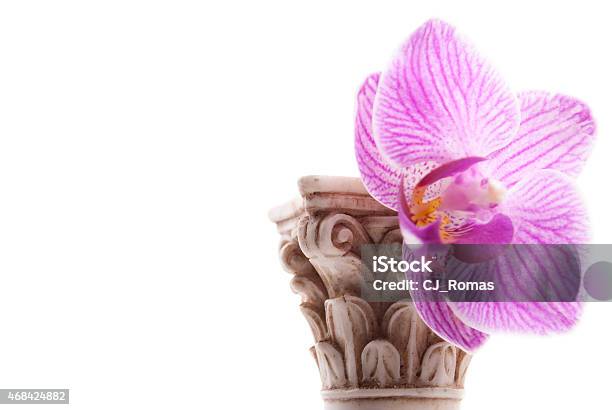 Classical Column With Flower Stock Photo - Download Image Now - 2015, Affectionate, Ancient