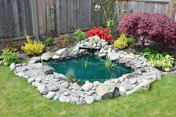 istock Backyard Pond and Fountain 468425348
